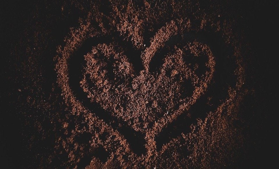 What Is Black Cocoa Powder?