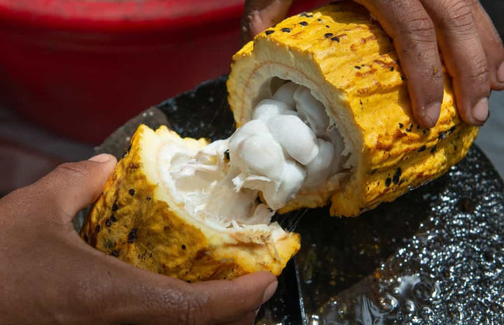 Health Benefits Of Cacao