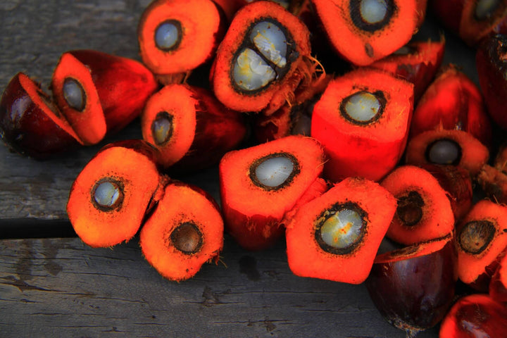 Is Palm Oil Bad for You?
