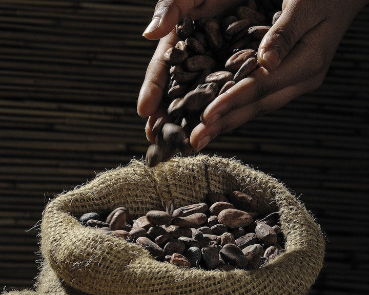 What is Cocoa Grinding?