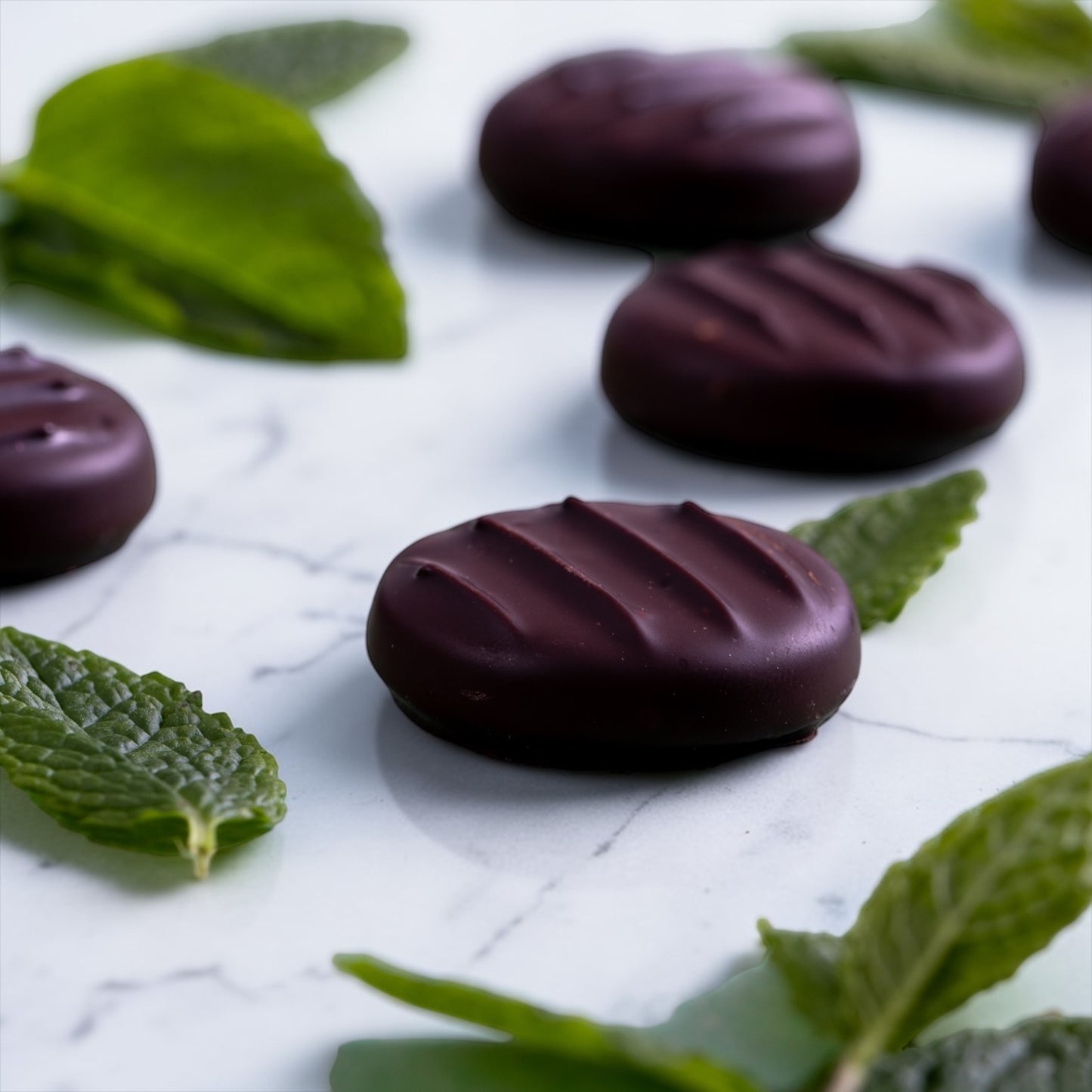 fresh mint leaves and dark chocolate mint fondant creams on a marble countertop